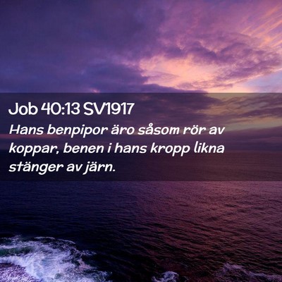 Picture 02 - Job 40:13 SV1917 - Hans benpipor äro såsom rör av koppar, benen i - Bible Verse Picture
