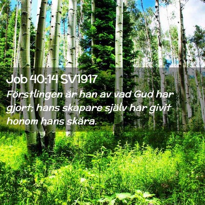 Picture 02 - Job 40:14 SV1917 - Förstlingen är han av vad Gud har gjort; hans - Bible Verse Picture