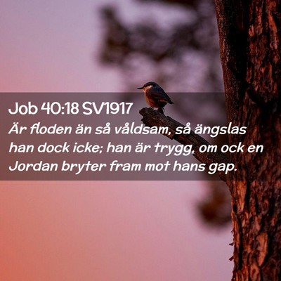 Picture 02 - Job 40:18 SV1917 - Är floden än så våldsam, så ängslas han - Bible Verse Picture