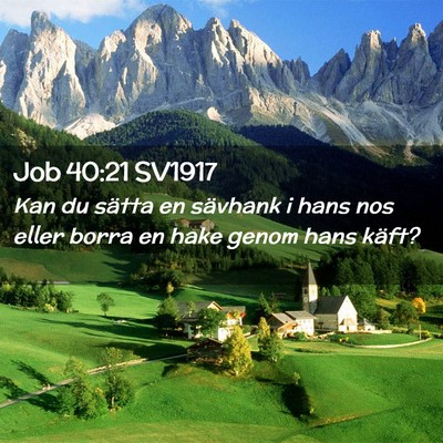 Picture 02 - Job 40:21 SV1917 - Kan du sätta en sävhank i hans nos eller borra - Bible Verse Picture