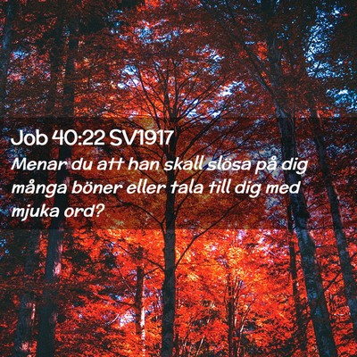 Picture 02 - Job 40:22 SV1917 - Menar du att han skall slösa på dig många - Bible Verse Picture