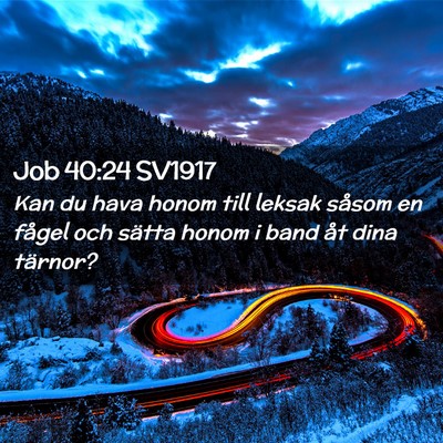 Picture 02 - Job 40:24 SV1917 - Kan du hava honom till leksak såsom en fågel - Bible Verse Picture