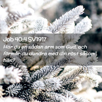 Picture 02 - Job 40:4 SV1917 - Har du en sådan arm som Gud, och förmår du - Bible Verse Picture