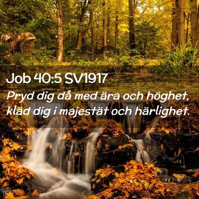 Picture 02 - Job 40:5 SV1917 - Pryd dig då med ära och höghet, kläd dig i - Bible Verse Picture