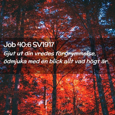 Picture 02 - Job 40:6 SV1917 - Gjut ut din vredes förgrymmelse, ödmjuka med en - Bible Verse Picture