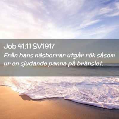 Picture 02 - Job 41:11 SV1917 - Från hans näsborrar utgår rök såsom ur en - Bible Verse Picture