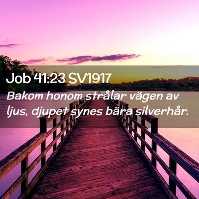 Picture 02 - Job 41:23 SV1917 - Bakom honom strålar vägen av ljus, djupet synes - Bible Verse Picture