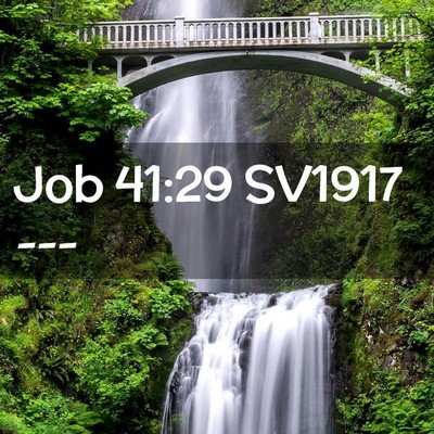 Picture 02 - Job 41:29 SV1917 -  - Bible Verse Picture