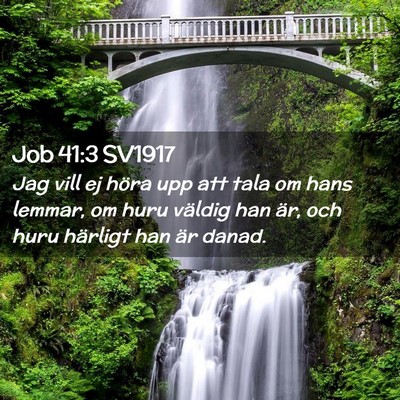 Picture 02 - Job 41:3 SV1917 - Jag vill ej höra upp att tala om hans lemmar, om - Bible Verse Picture