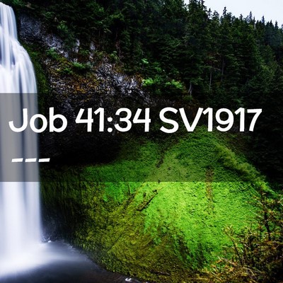 Picture 02 - Job 41:34 SV1917 -  - Bible Verse Picture