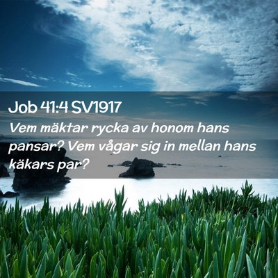 Picture 02 - Job 41:4 SV1917 - Vem mäktar rycka av honom hans pansar? Vem - Bible Verse Picture
