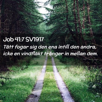 Picture 02 - Job 41:7 SV1917 - Tätt fogar sig den ena intill den andra, icke en - Bible Verse Picture