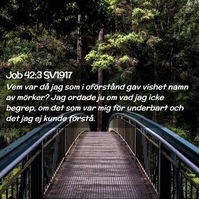 Picture 02 - Job 42:3 SV1917 - Vem var då jag som i oförstånd gav vishet namn - Bible Verse Picture