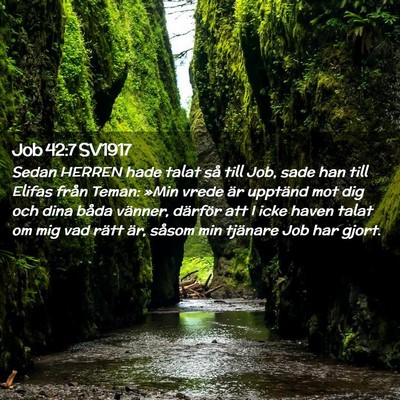 Picture 02 - Job 42:7 SV1917 - Sedan HERREN hade talat så till Job, sade han - Bible Verse Picture