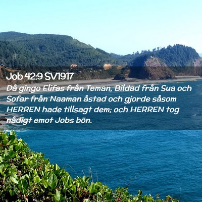 Picture 02 - Job 42:9 SV1917 - Då gingo Elifas från Teman, Bildad från Sua - Bible Verse Picture