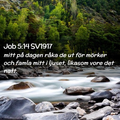 Picture 02 - Job 5:14 SV1917 - mitt på dagen råka de ut för mörker och famla - Bible Verse Picture