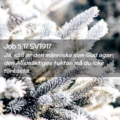 Picture 02 - Job 5:17 SV1917 - Ja, säll är den människa som Gud agar; den - Bible Verse Picture