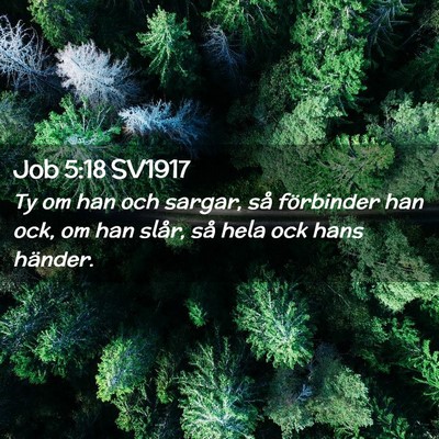 Picture 02 - Job 5:18 SV1917 - Ty om han och sargar, så förbinder han ock, om - Bible Verse Picture