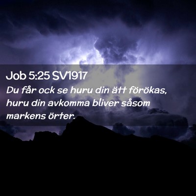 Picture 02 - Job 5:25 SV1917 - Du får ock se huru din ätt förökas, huru din - Bible Verse Picture