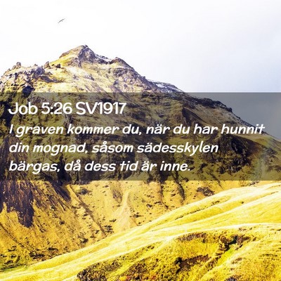 Picture 02 - Job 5:26 SV1917 - I graven kommer du, när du har hunnit din - Bible Verse Picture