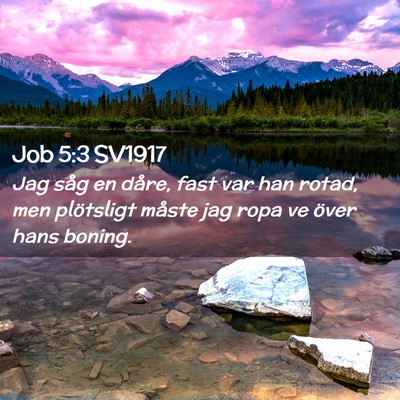 Picture 02 - Job 5:3 SV1917 - Jag såg en dåre, fast var han rotad, men - Bible Verse Picture