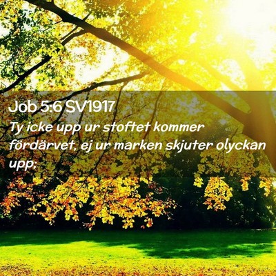 Picture 02 - Job 5:6 SV1917 - Ty icke upp ur stoftet kommer fördärvet, ej ur - Bible Verse Picture