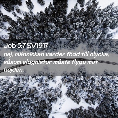 Picture 02 - Job 5:7 SV1917 - nej, människan varder född till olycka, såsom - Bible Verse Picture