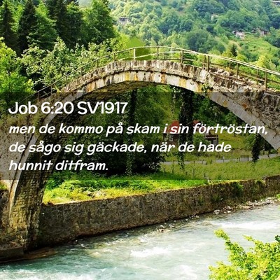 Picture 02 - Job 6:20 SV1917 - men de kommo på skam i sin förtröstan, de - Bible Verse Picture