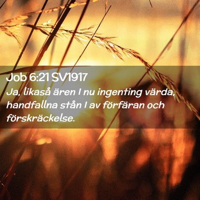 Picture 02 - Job 6:21 SV1917 - Ja, likaså ären I nu ingenting värda, - Bible Verse Picture