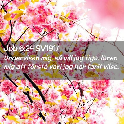 Picture 02 - Job 6:24 SV1917 - Undervisen mig, så vill jag tiga, lären mig att - Bible Verse Picture