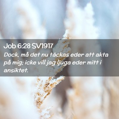 Picture 02 - Job 6:28 SV1917 - Dock, må det nu täckas eder att akta på mig; - Bible Verse Picture