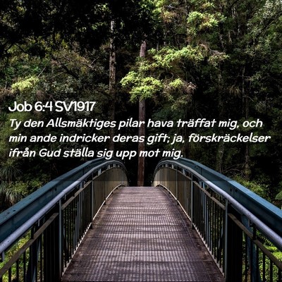 Picture 02 - Job 6:4 SV1917 - Ty den Allsmäktiges pilar hava träffat mig, och - Bible Verse Picture
