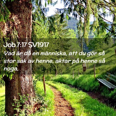 Picture 02 - Job 7:17 SV1917 - Vad är då en människa, att du gör så stor - Bible Verse Picture