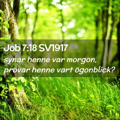 Picture 02 - Job 7:18 SV1917 - synar henne var morgon, prövar henne vart - Bible Verse Picture