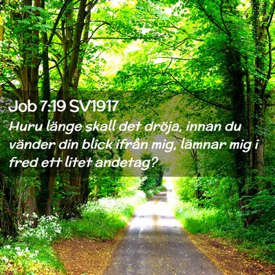 Picture 02 - Job 7:19 SV1917 - Huru länge skall det dröja, innan du vänder - Bible Verse Picture