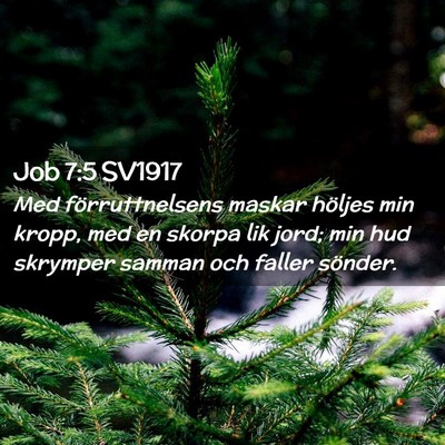 Picture 02 - Job 7:5 SV1917 - Med förruttnelsens maskar höljes min kropp, med - Bible Verse Picture