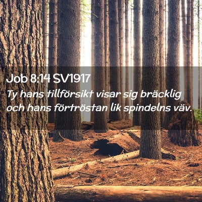 Picture 02 - Job 8:14 SV1917 - Ty hans tillförsikt visar sig bräcklig och hans - Bible Verse Picture
