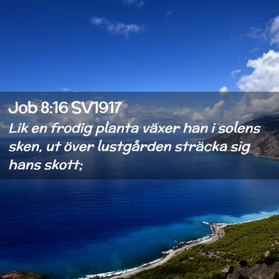 Picture 02 - Job 8:16 SV1917 - Lik en frodig planta växer han i solens sken, ut - Bible Verse Picture