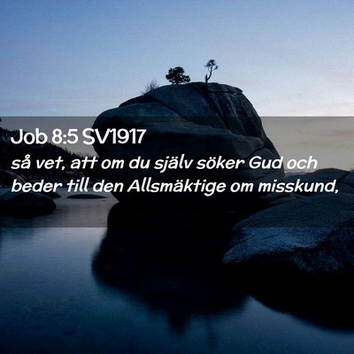 Picture 02 - Job 8:5 SV1917 - så vet, att om du själv söker Gud och beder - Bible Verse Picture