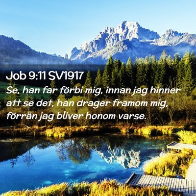 Picture 02 - Job 9:11 SV1917 - Se, han far förbi mig, innan jag hinner att se - Bible Verse Picture