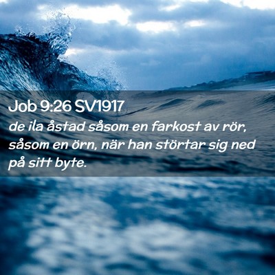 Picture 02 - Job 9:26 SV1917 - de ila åstad såsom en farkost av rör, såsom - Bible Verse Picture