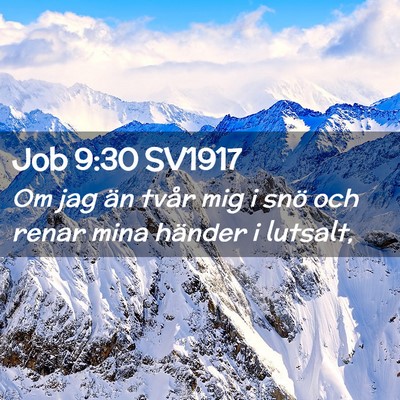 Picture 02 - Job 9:30 SV1917 - Om jag än tvår mig i snö och renar mina - Bible Verse Picture