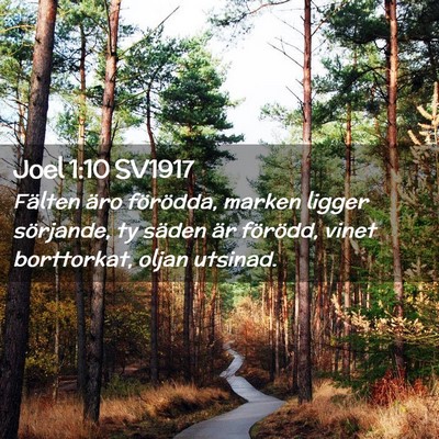 Picture 02 - Joel 1:10 SV1917 - Fälten äro förödda, marken ligger sörjande, - Bible Verse Picture