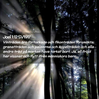 Picture 02 - Joel 1:12 SV1917 - Vinträden äro förtorkade och fikonträden - Bible Verse Picture
