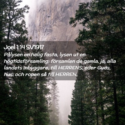 Picture 02 - Joel 1:14 SV1917 - Pålysen en helig fasta, lysen ut en - Bible Verse Picture