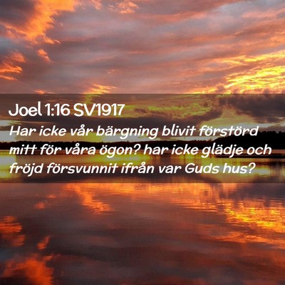 Picture 02 - Joel 1:16 SV1917 - Har icke vår bärgning blivit förstörd mitt - Bible Verse Picture