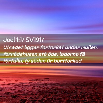 Picture 02 - Joel 1:17 SV1917 - Utsädet ligger förtorkat under mullen, - Bible Verse Picture