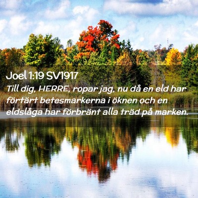 Picture 02 - Joel 1:19 SV1917 - Till dig, HERRE, ropar jag, nu då en eld har - Bible Verse Picture