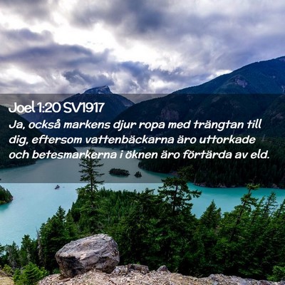 Picture 02 - Joel 1:20 SV1917 - Ja, också markens djur ropa med trängtan till - Bible Verse Picture