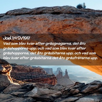 Picture 02 - Joel 1:4 SV1917 - Vad som blev kvar efter gräsgnagarna, det åto - Bible Verse Picture